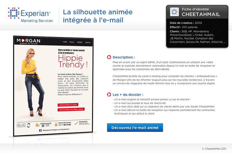 Experian_CHEETAHMAIL_EMAILVIDEO