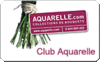 Club_aquarelle_145x91